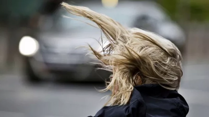 МЧС: на Среднем Урале сохраняется предупреждение об усилении ветра до 20 м/с