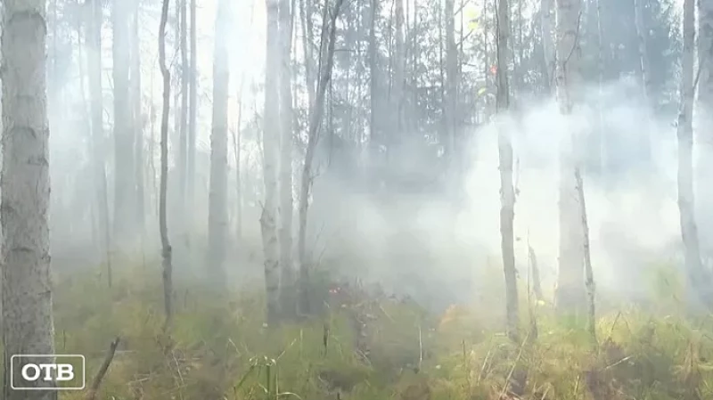 Министр обороны Сергей Шойгу создал спецотряд для тушения лесных пожаров в Пышминском ГО