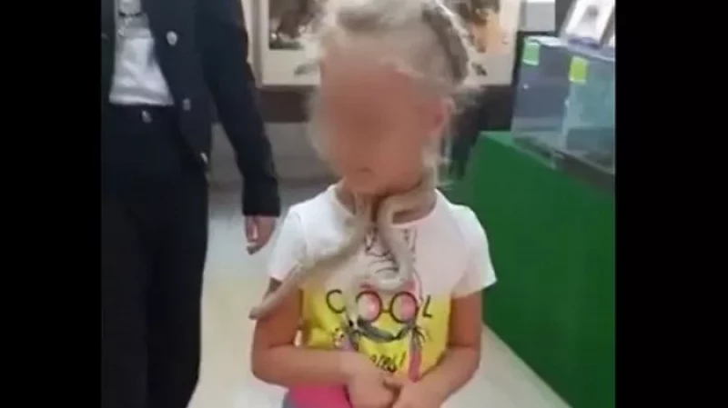 В зоопарке Екатеринбурга змея укусила пятилетнюю девочку: следователи начали проверку