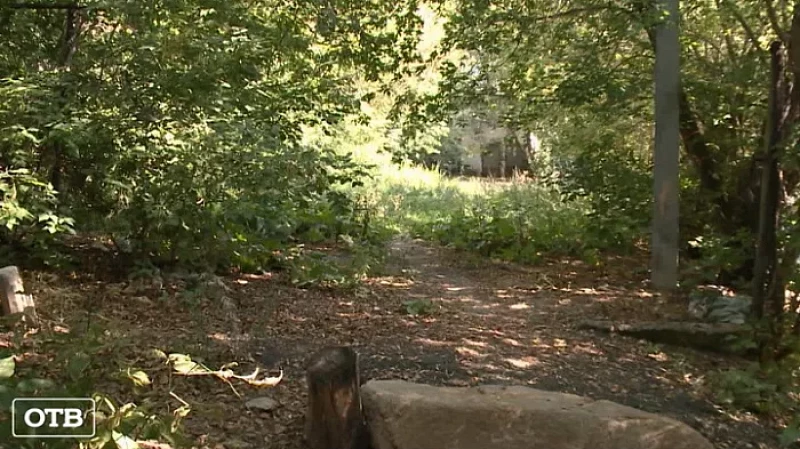 Жители микрорайона Втузгородок в Екатеринбурге защищают свой двор от точечной застройки