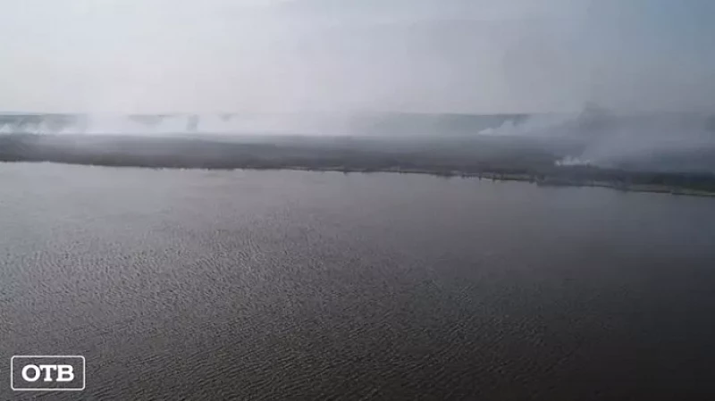 В ближайшие сутки площадь пожара под Первоуральском может увеличиться до 100 гектаров