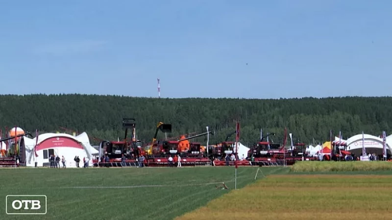 На «Всероссийском дне поля – 2021» презентовали доярку-робота и поле конопли