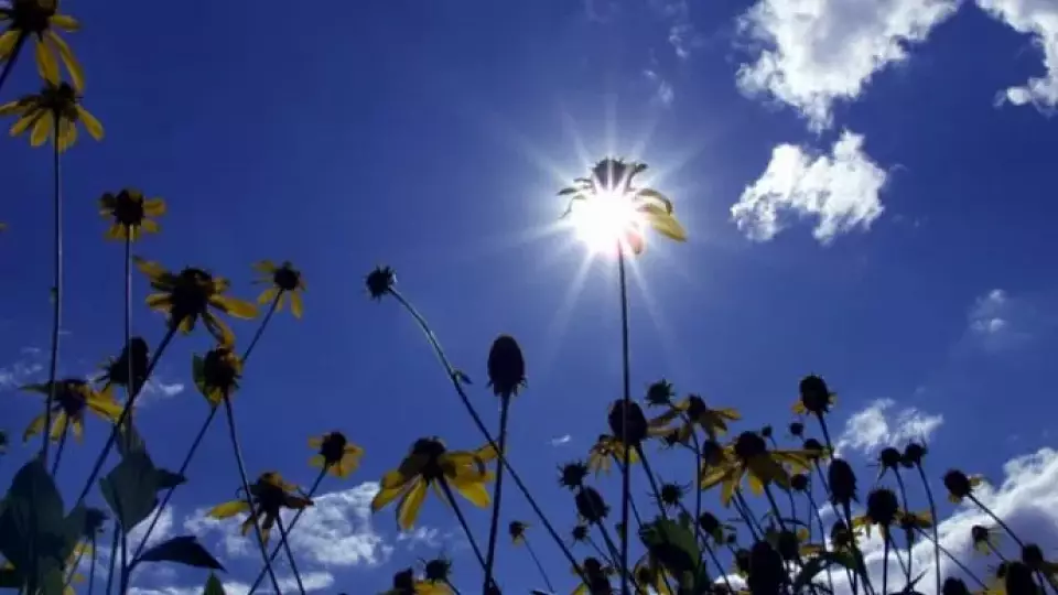 30-градусная жара в Свердловской области вернётся к выходным