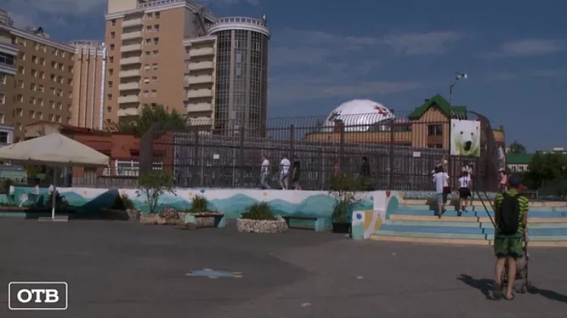 В Екатеринбургском зоопарке построят новый вольер для белых медведей