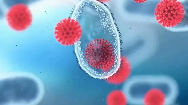 Можно ли делать прививку от коронавируса при наличии антител