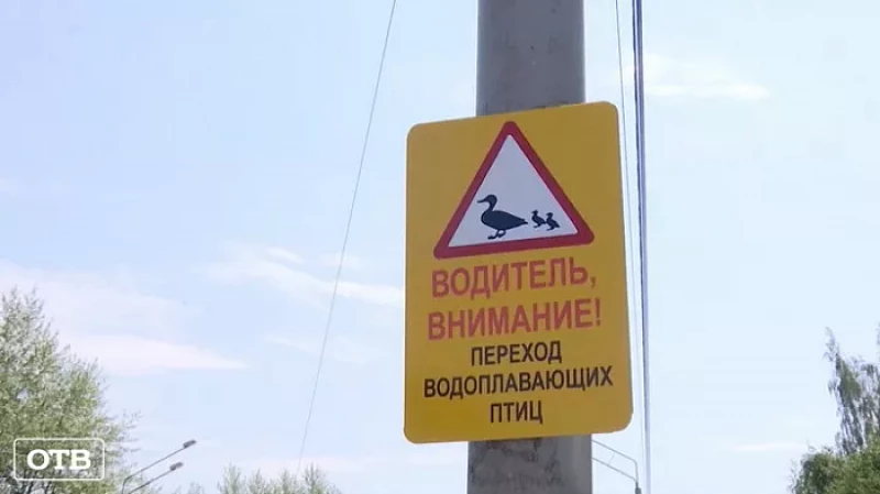 Внимание, уточки! В Нижнем Тагиле на дорогах установили новые предупреждающие знаки