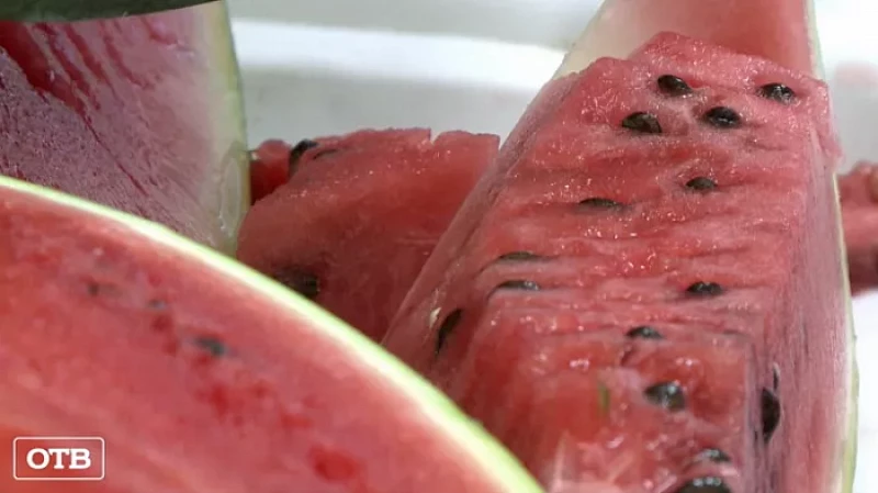 Екатеринбургские специалисты Россельхознадзора исследовали арбузы, продаваемые на Урале