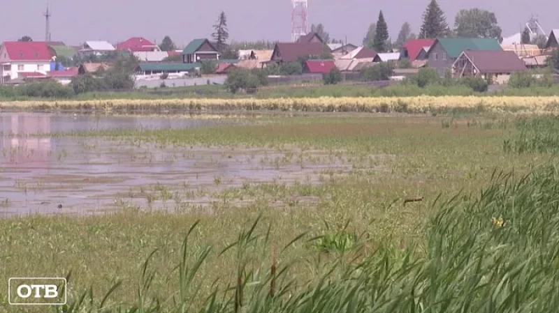 Жители поселка Щелкун просят спасти озеро от пересыхания
