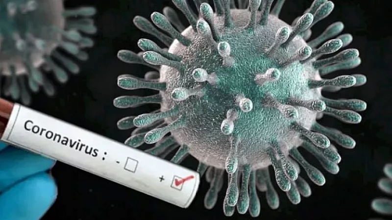 213 новых случаев COVID-19 в Свердловской области: статистика по городам РФ