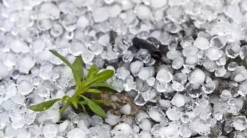 МЧС предупреждает свердловчан о грозах и граде 25 июня