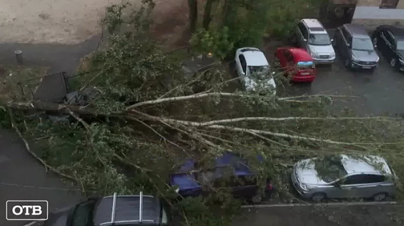 В Екатеринбурге во время ночной грозы упали десятки деревьев