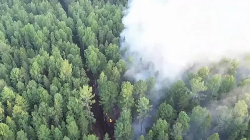 В заповеднике «Денежкин Камень» обнаружено еще одно возгорание площадью более 50 гектаров