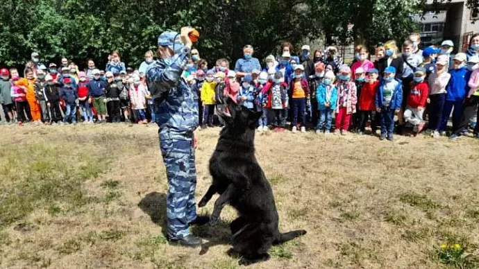 Кинологи провели для екатеринбургских школьников показательные выступления и парад