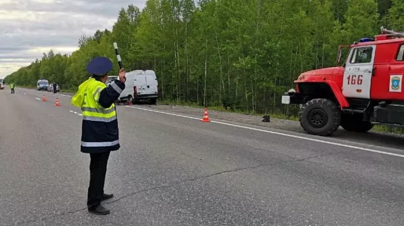 При лобовом столкновении микроавтобусов на Серовском тракте погибли два человека