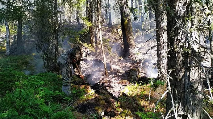 Площадь пожара в заповеднике «Денежкин камень» достигла 52,8 га