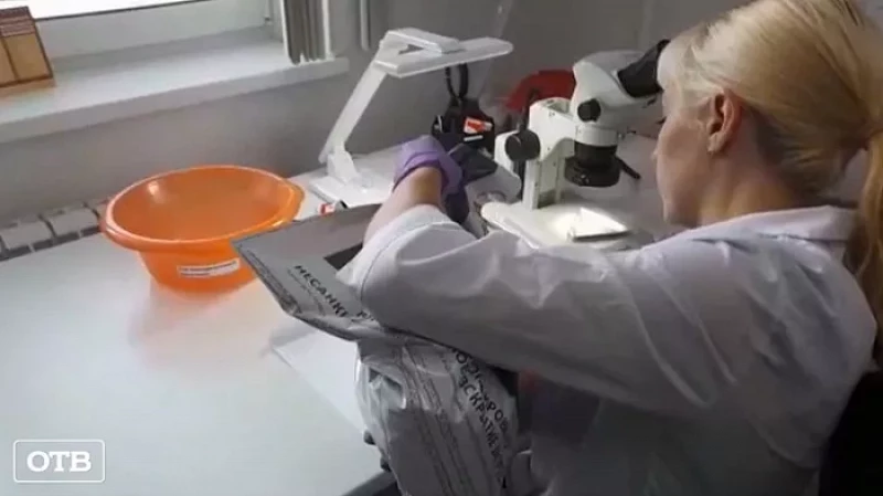 В Свердловской области увеличился импорт семян подсолнечника