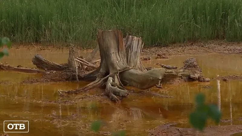 Природоохранная прокуратура начала проверку затопленного рудника в Дегтярске