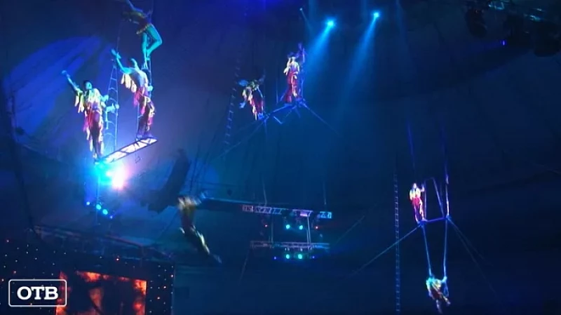 Бизоны, верблюды и медведи: в Екатеринбургском цирке новое шоу Гии Эрадзе