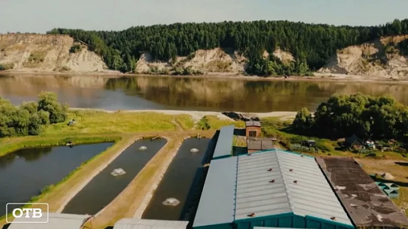 В «Екатеринбург-ЭКСПО» подписали соглашение о восстановлении экосистемы после строительства дорог и мостов