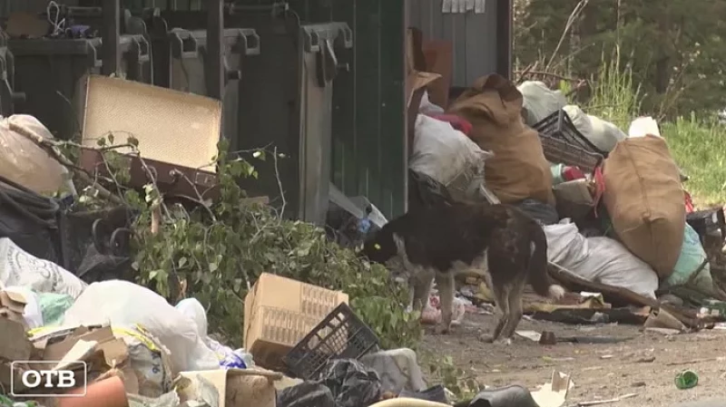 В поселке Залесье неизвестные сваливают негабаритные отходы рядом с мусорными контейнерами