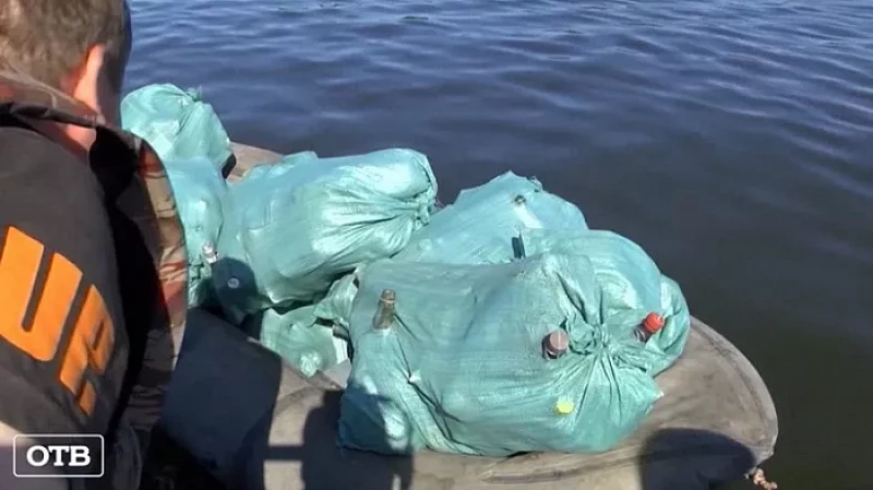 В Свердловской области в рамках акции «Чистые берега Евразии» в порядок привели девять водоемов