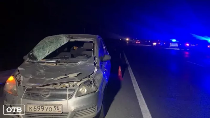 На ЕКАД в аварии с лосем погиб мужчина