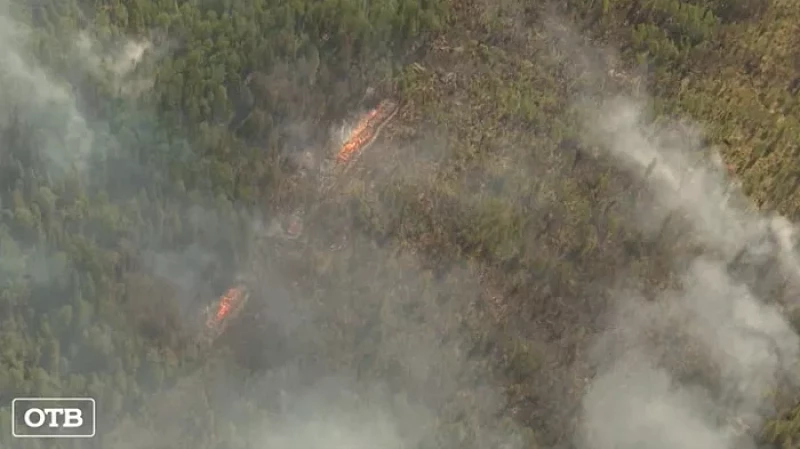 Евгений Куйвашев предложил наградить пожарных, тушивших леса в Тюменской области