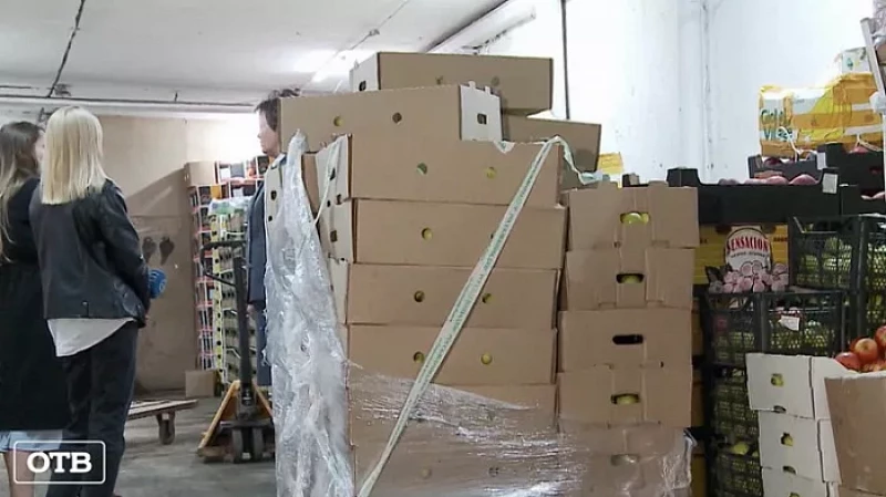 В Свердловской области уничтожили 700 килограммов нелегальных яблок