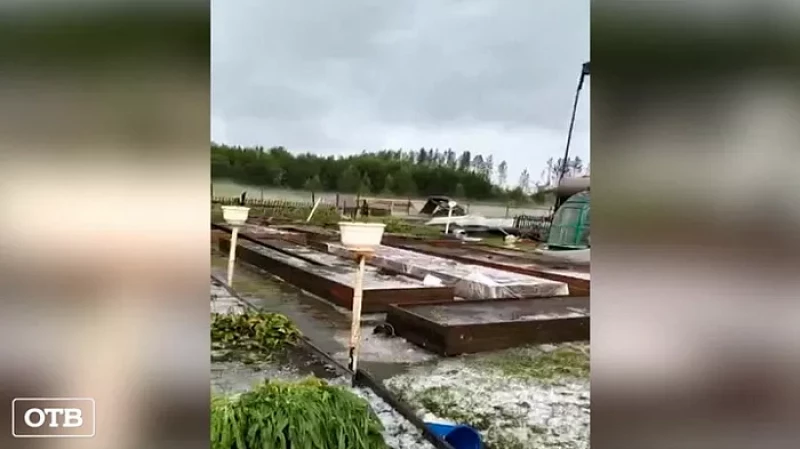 На севере Свердловской области устраняют последствия мощного урагана