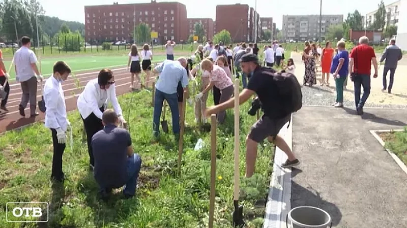 В школе № 9 поселка Кирзавод высадили более 200 саженцев