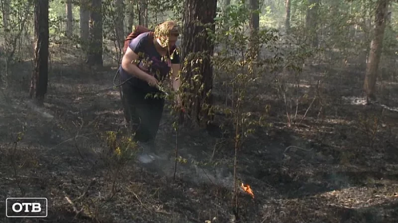 Пожарные борются с огнем в районе поселка Полевого