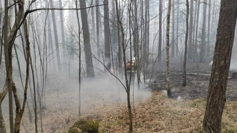 В Свердловской области продолжает действовать особый противопожарный режим
