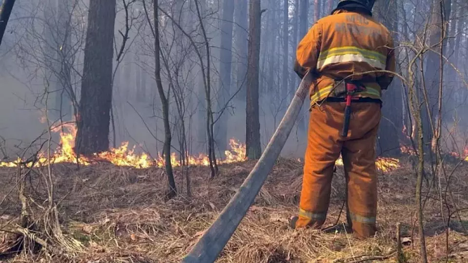 Лесной пожар под Камышловым ликвидирован