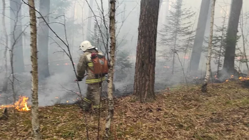В Свердловской области горит 371 гектар леса