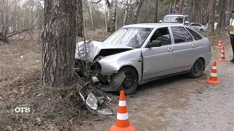Пьяный уралец врезался в дерево, уходя от полицейской погони