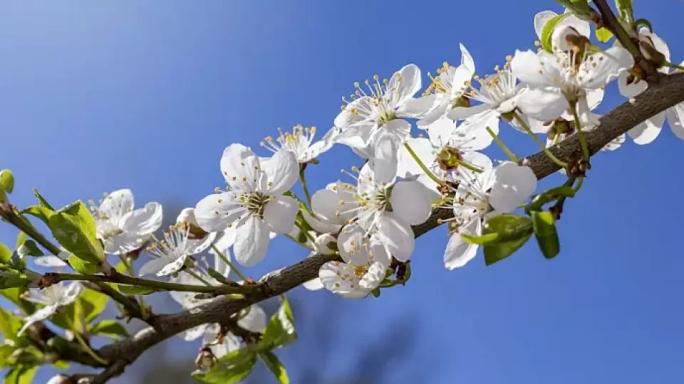 Потеплеет до 26 градусов: погода в Свердловской области 3-5 мая