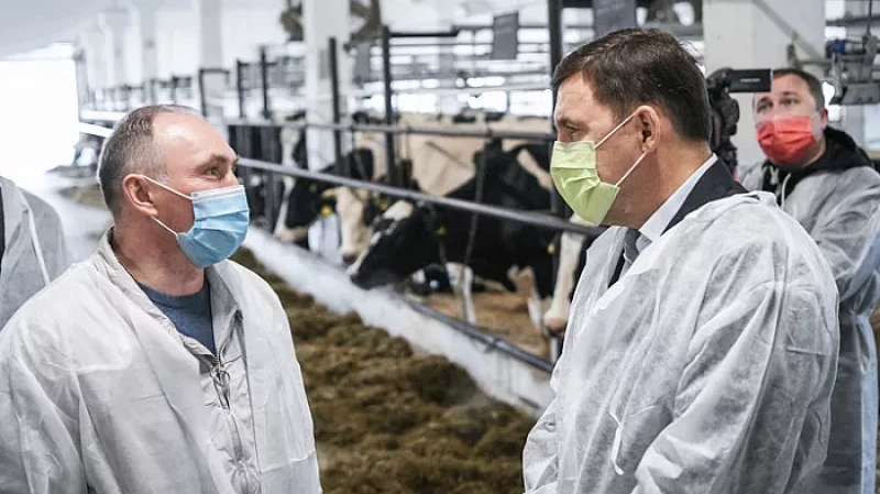 Евгений Куйвашев проверил цены в магазинах Богдановича