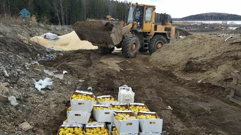 В Екатеринбурге уничтожили санкционные яблоки, грибы и мясо
