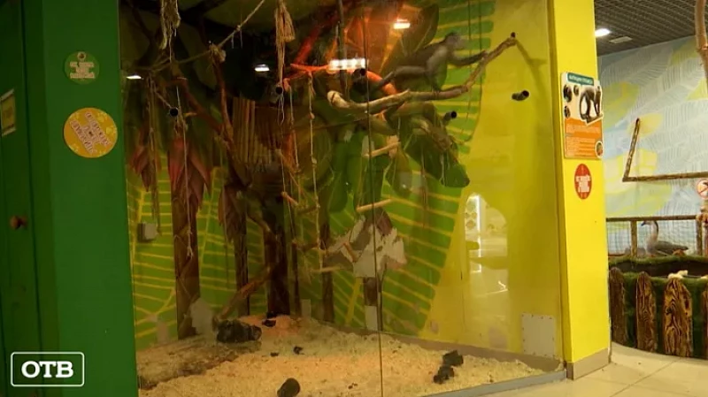 Россельхознадзор начал выдавать лицензии зоопаркам и океанариумам