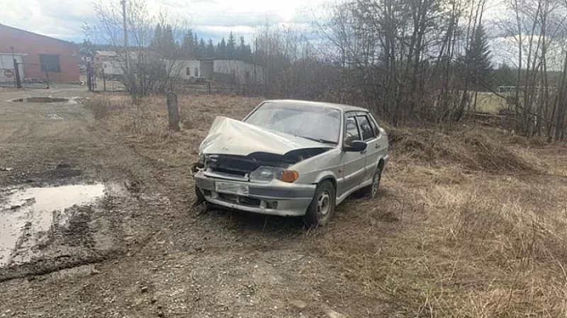 На Урале дедушка врезался в столб и уехал с пострадавшей внучкой