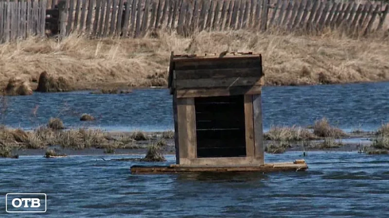 Школьники из Артёмовского построили дом для лебедей