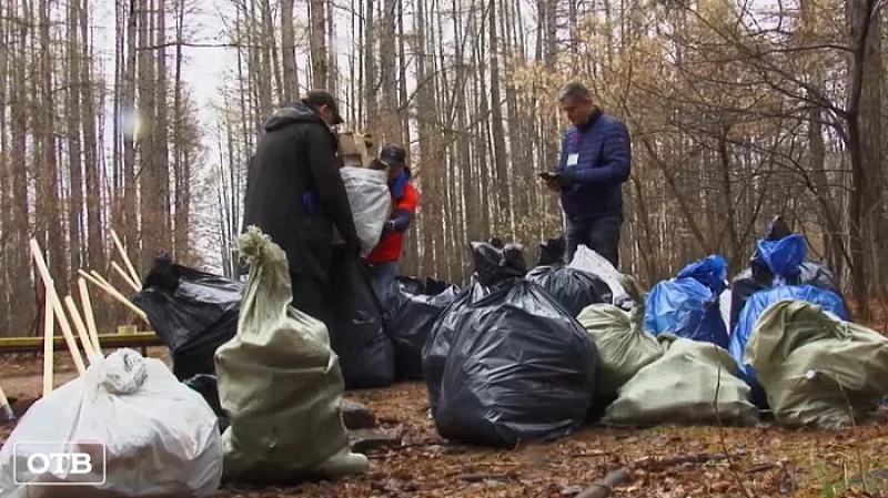Жителей свердловских городов привлекли «Чистые игры»