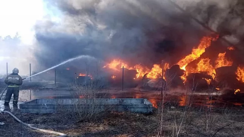 Крупный пожар в Асбесте: горит свалка покрышек
