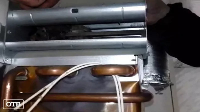 Жители уральского посёлка едва не задохнулись из-за голубя