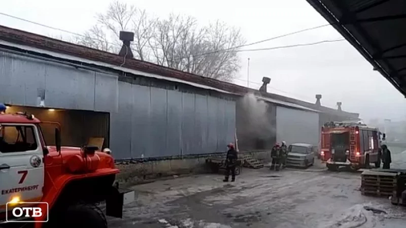 Прокуратура заинтересовалась пожаром в подпольном террариуме