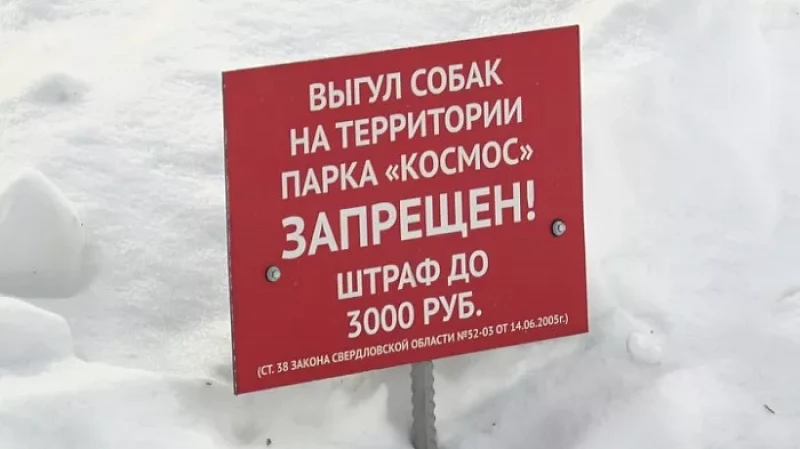 Итоги недели: собачьи ссоры в парке Каменска-Уральского