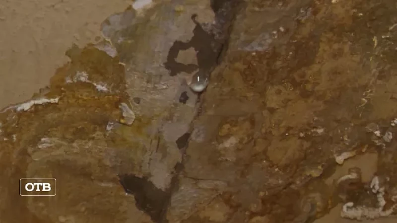 Семью из Серова семь лет заливает водой с крыши