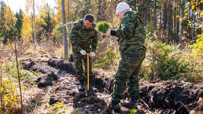 На Среднем Урале выбрана новая площадка для «Сада Памяти»