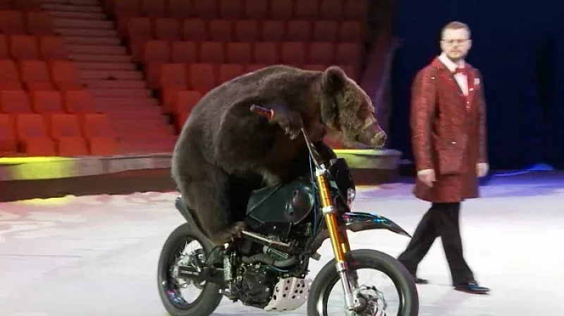 В Екатеринбурге выступит знаменитый цирк Филатовых