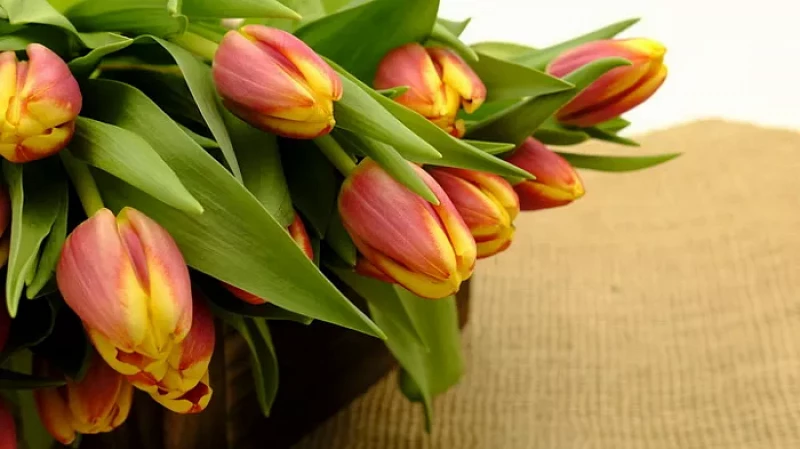 Итоги недели: концерт в честь 8 Марта в центре Екатеринбурга